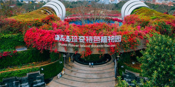 海花島珍奇特色植物園