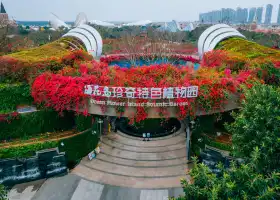 海花島珍奇特色植物園