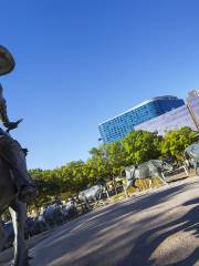 Cattle Drive sculptures by Robert Summers