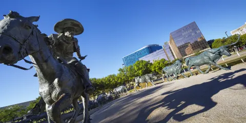 Dallas Cattle Drive Sculptures