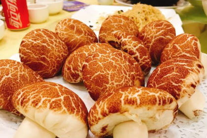 金水台温泉中餐厅