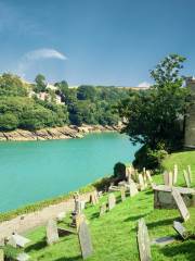 Dartmouth Castle