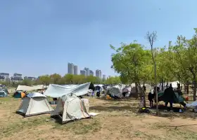 祥茂河濕地公園