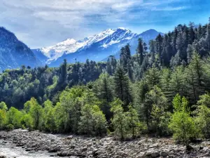 Van Vihar National Park