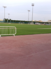 Thani bin Jassim Stadium