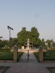 Naqvi Park