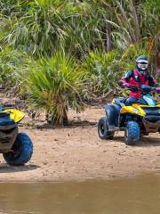 Quad Bike Safaris