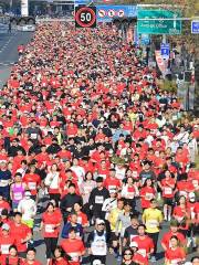 Daegu Marathon 2024