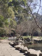Suyuan Garden