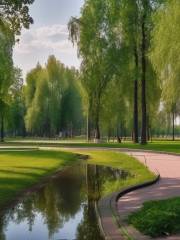 Detskiy Park Im. A.g. Nikolayeva