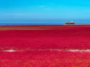 Red Beach Scenic Area