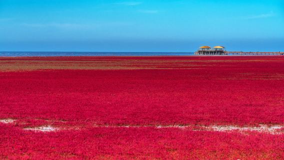 Red Beach Scenic Area