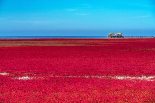 Red Beach Scenic Area