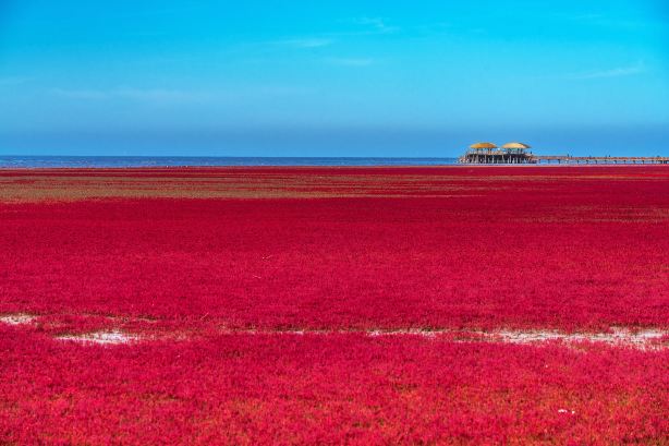 Red Beach Scenic Area