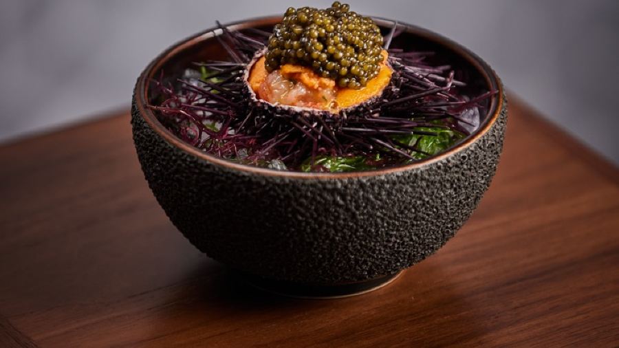 WAKU GHIN BY TETSUYA WAKUDA