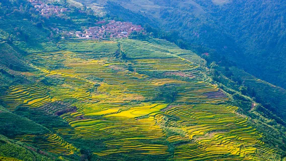 Zhanglangcun Bulangzu Shanzhai