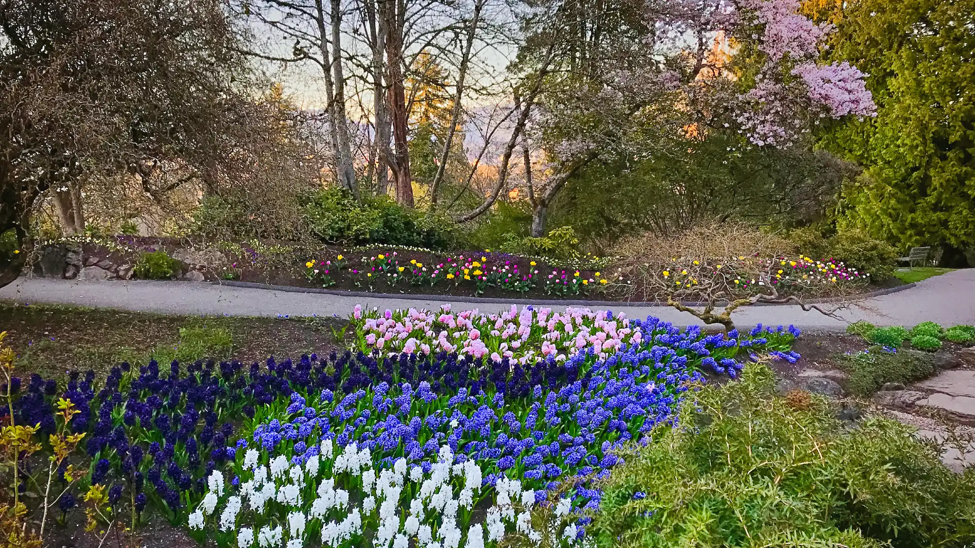 Hotels near Daishi Park