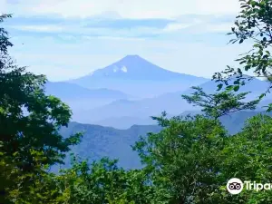 Hinohara Tokyo Citizens' Forest