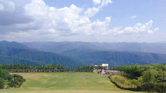 Swan Fort Forest Park