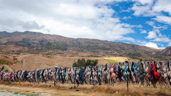Бюстгальтеровый забор в Кардроне