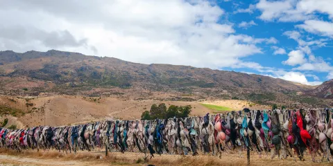 卡德羅納胸罩圍欄