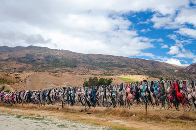 Cardrona Bra Fence