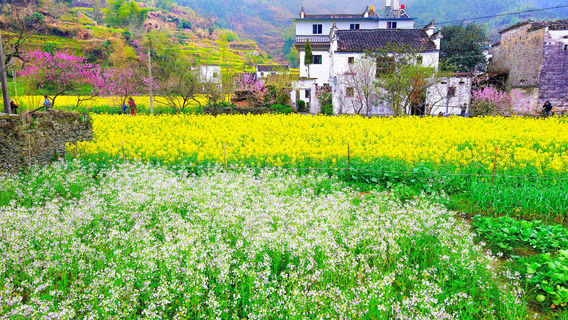 Qingyuan Ancient Village