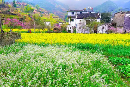 Hotel dekat Qingyuan