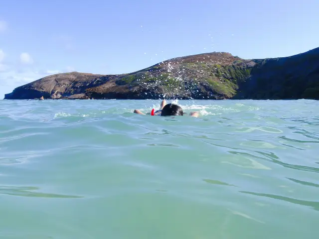 Hawaii Diving Experience