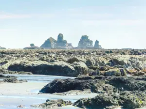Motukiekie Beach Walk