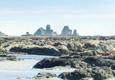 Motukiekie Beach Walk