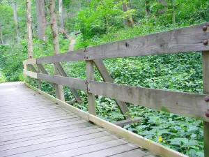 제퍼슨 메모리얼 포레스트