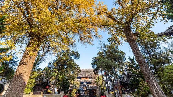 Depart from Nanjing: Yangzhou Geyuan Garden + Slender West Lake + Yangzhou Eight Eccentrics + Dongguan Street one-day tour[private group tour]