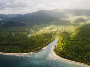 Daintree Rainforest