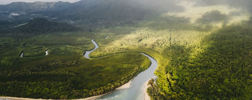 Daintree Rainforest