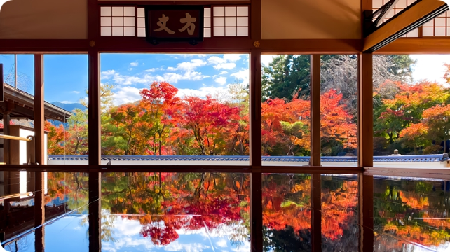 2024秋「床もみじ」特別展 | Hotoku-ji Temple