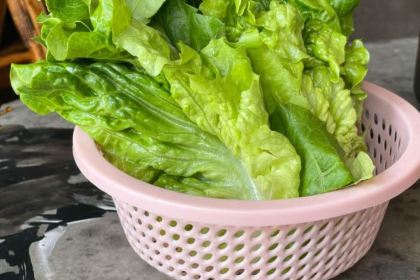 寒野柴火鸡(51店)