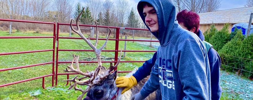Shortsville Reindeer Farm, LLC