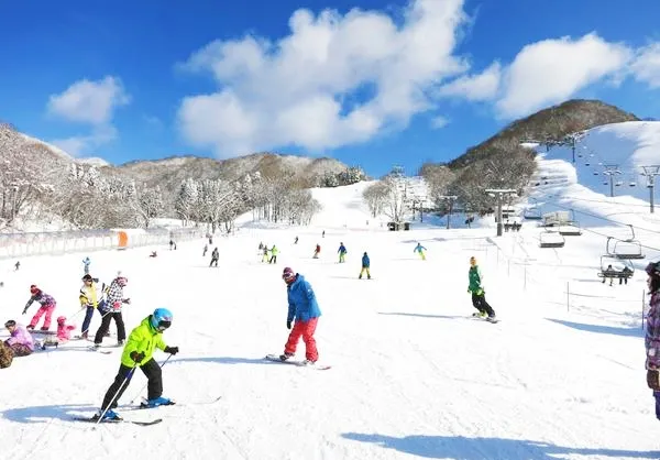 Ski