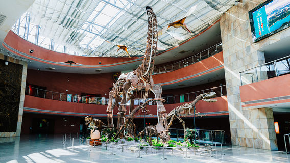 Heyuan City Museum (Heyuan Dinosaur Museum)