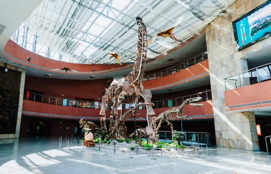 河源恐龍博物館門票成人