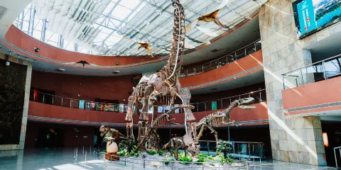 河源恐龍博物館