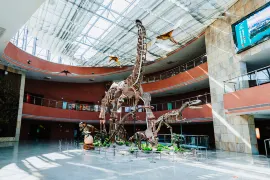 Heyuan City Museum (Heyuan Dinosaur Museum)