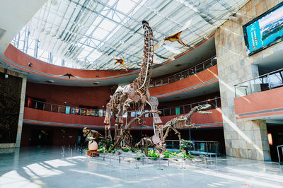 Heyuan City Museum (Heyuan Dinosaur Museum)