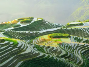 Longji Terraces