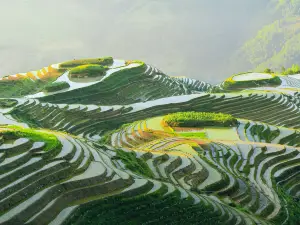 Longji Terraces