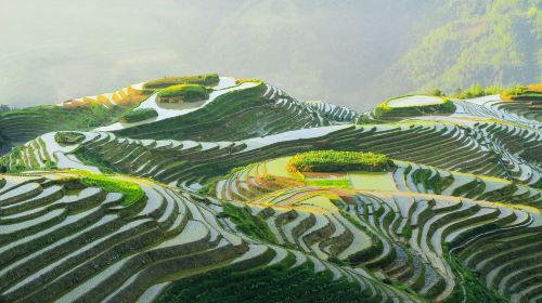 Longji Rice Terraces