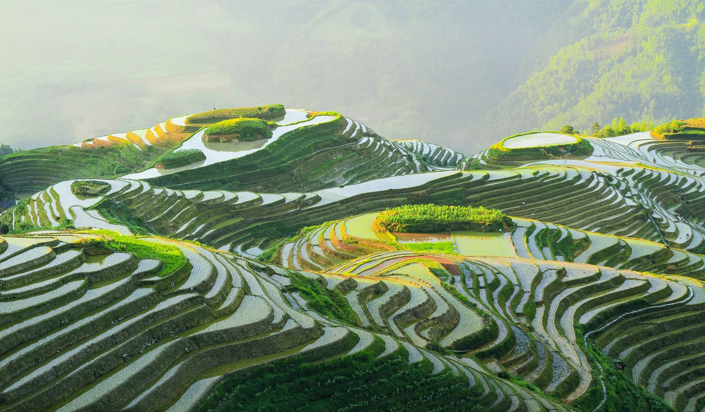 3_Longji Rice Terraces