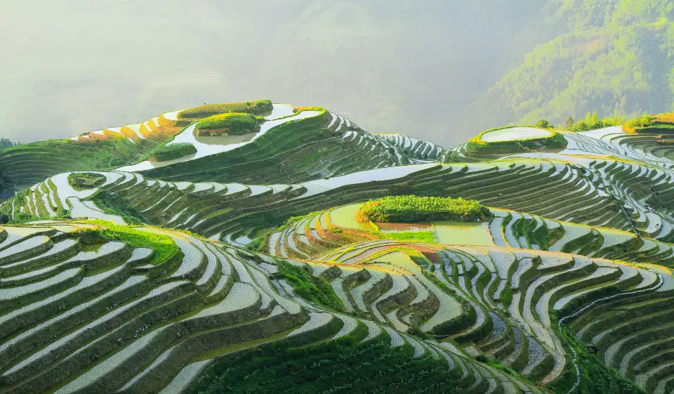 4_Longji Rice Terraces