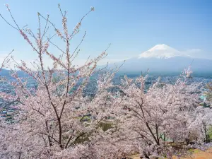 Arakurayama Sengen Park